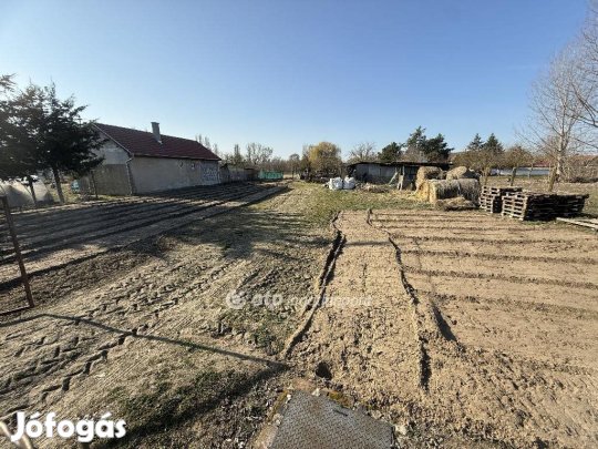Eladó 1078 nm-es telek Tiszakécske