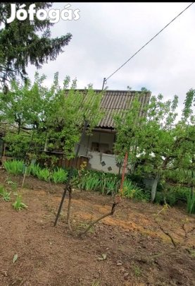 Eladó 10 nm-es Felújítandó Hétvégi ház Dunaújváros