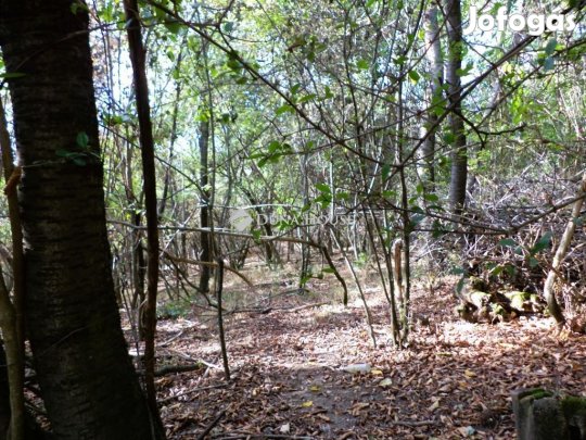 Eladó 1139 nm-es telek Sukoró