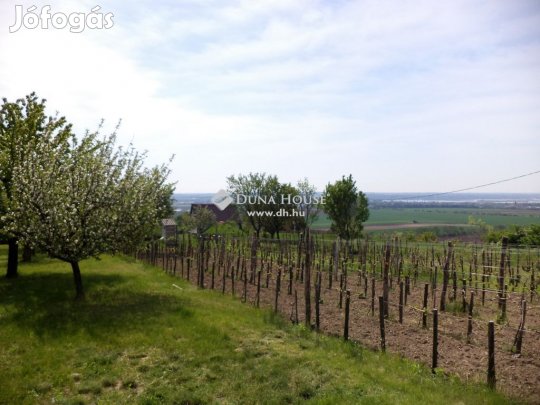 Eladó 1231 nm-es telek Pázmánd