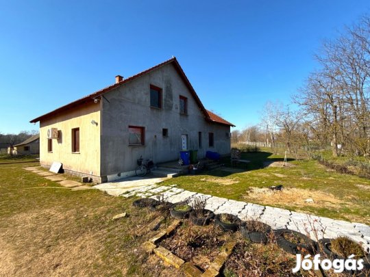 Eladó 129 nm-es ház Cegléd