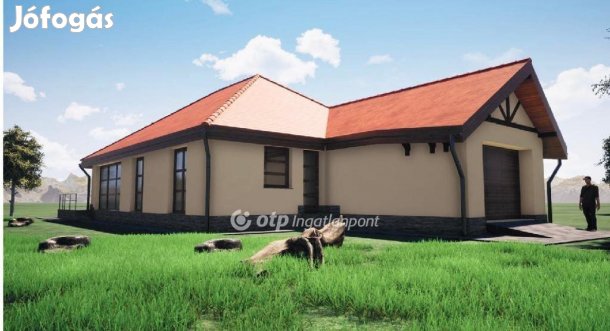 Eladó 130 nm-es ház Mályi