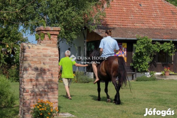 Eladó 150000 nm-es telek Balástya