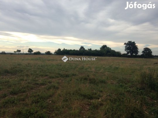 Eladó 15 hektár telek villany bevezetve, víz a közelben SZŐC