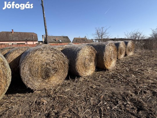 Eladó 160 as szalma Tiszalökön