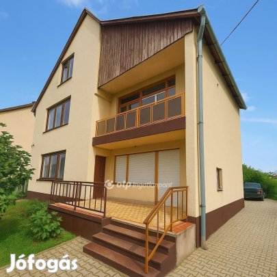 Eladó 160 nm-es ház Alsónémedi