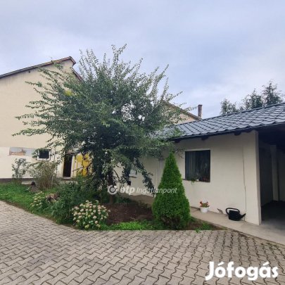 Eladó 160 nm-es ház Alsónémedi