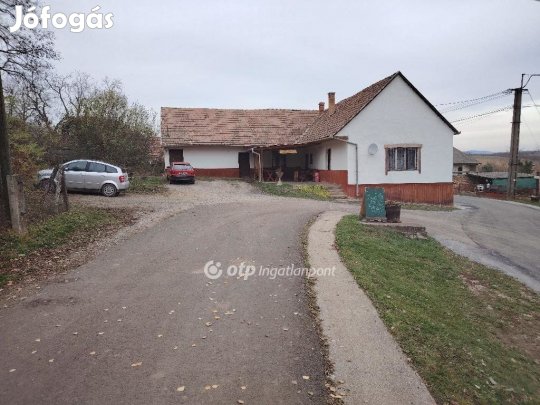 Eladó 160 nm-es ház Szőkéd