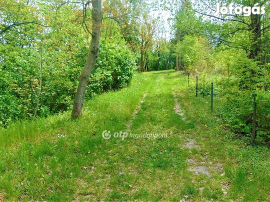 Eladó 1610 nm-es telek Zalaegerszeg