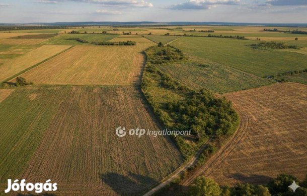 Eladó 16900 nm-es mezőgazdasági ingatlan #5150756