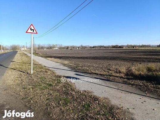 Eladó 17538 nm-es mezőgazdasági ingatlan Balástya