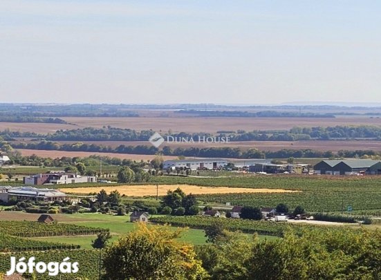 Eladó 18661 nm-es telek Villány