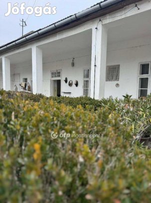 Eladó 186 nm-es ház Dunapataj