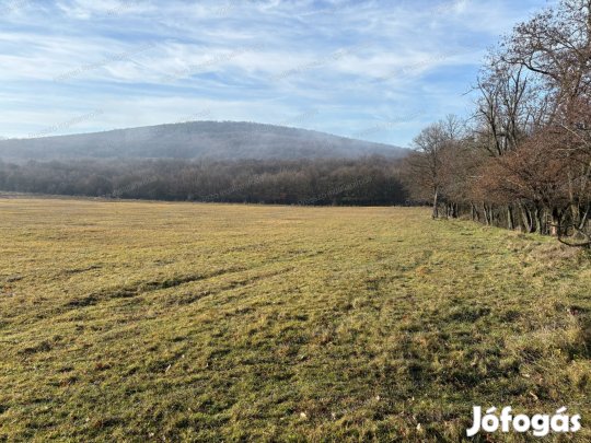 Eladó 18,5 ha szántó Monostorapáti külterületén!