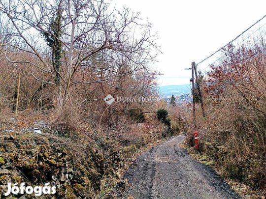 Eladó 1901 nm-es telek Pécs