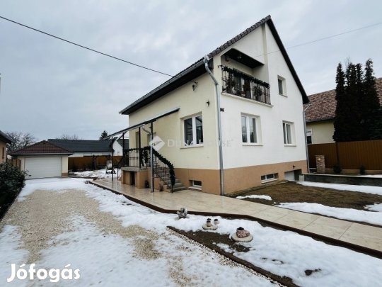 Eladó 190 nm-es ház Monor