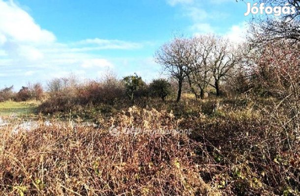 Eladó 19443 nm-es telek Tés