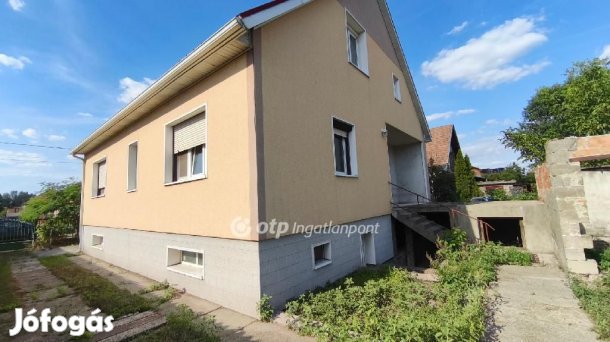 Eladó 194 nm-es ház Délegyháza