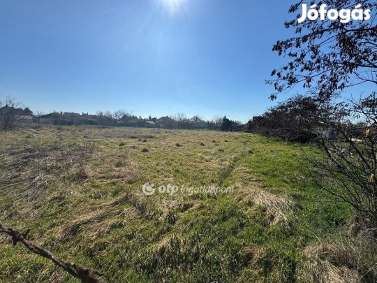 Eladó 1960 nm-es telek Poroszló