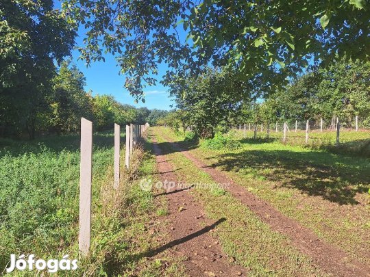 Eladó 1966 nm-es telek Tiszafüred