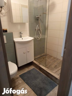 Eladó 1,5 szobás, tégla lakás, Újszegeden, földszinti