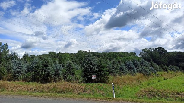 Eladó 1,5ha kert az osztrák határ mellett