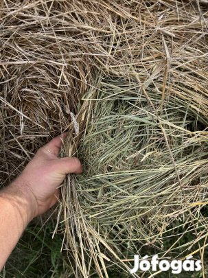 Eladó 200 db jó minőségű Széna