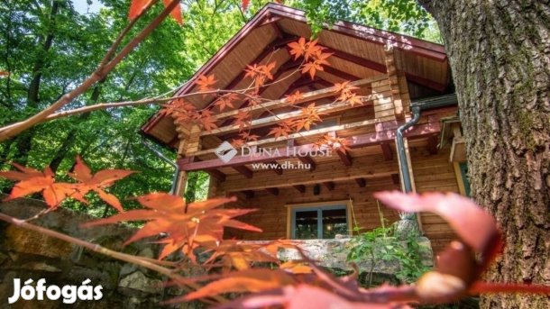 Eladó 200 nm-es ház Kismaros