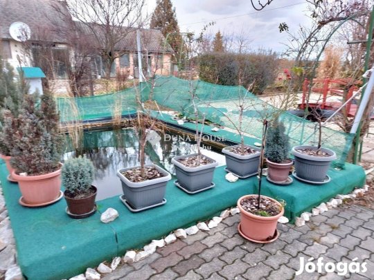 Eladó 200 nm-es ház Nagyvenyim