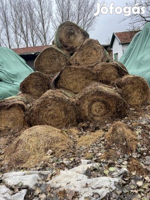 Eladó 2024 évi lucerna elado 