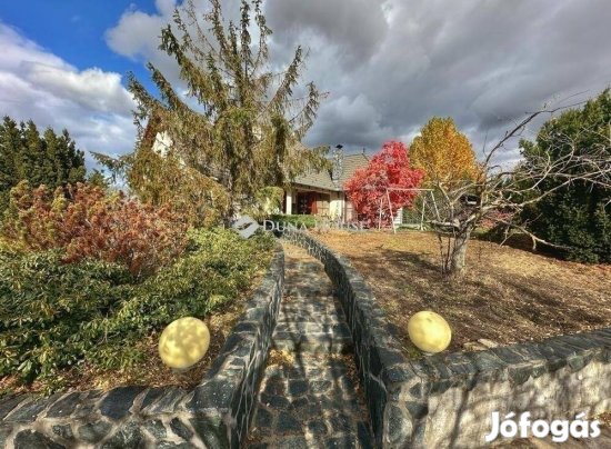 Eladó 207 nm-es ház Kecskemét #5091960