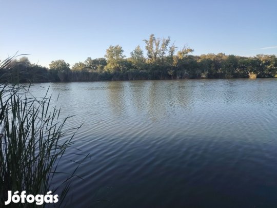 Eladó 2152 m2 nyaraló, Öcsöd
