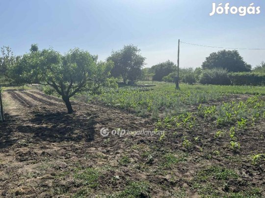 Eladó 2229 nm-es telek Cegléd
