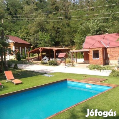 Eladó 240 nm-es ház Bakonyszentlászló