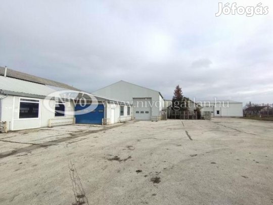 Eladó 2494 nm-es Telephely Ősi