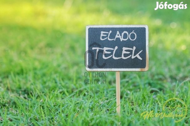 Eladó 2500 nm-es telek Cegléd