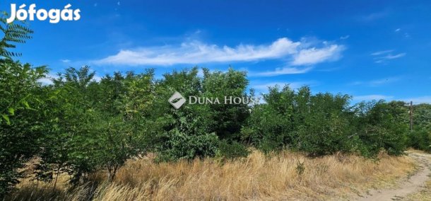 Eladó 2807 nm-es telek Tápiószecső