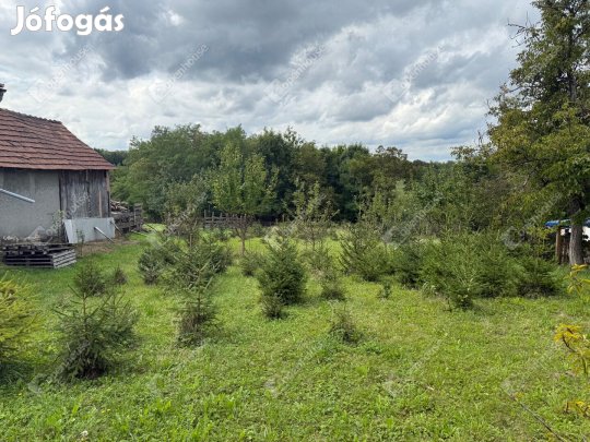 Eladó 2826 m-es építési telek Kustánszeg főutcáján