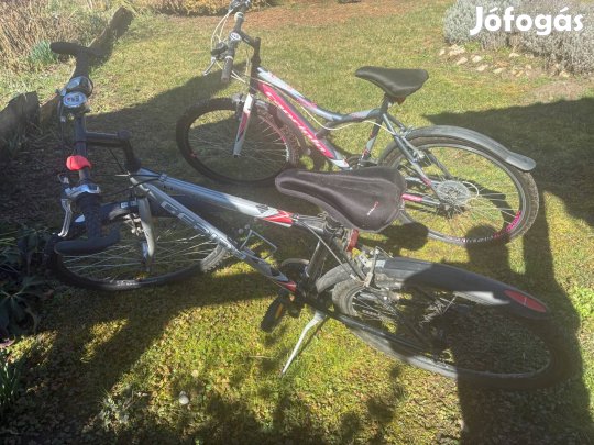 Eladó 2 db kerékpár és egy Thule kerékpártartó