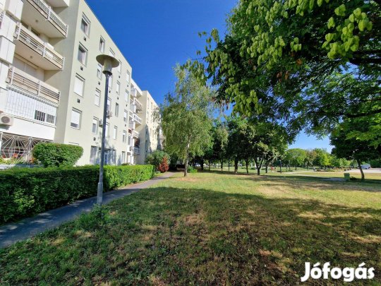 Eladó 2 szobás lakás a sétányokon