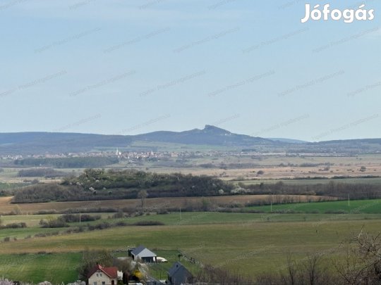 Eladó 3000 m2 beépíthető zártkert Mindszentkállán!