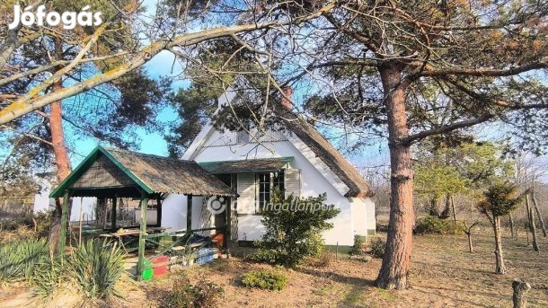 Eladó 30 nm-es ház Csongrád