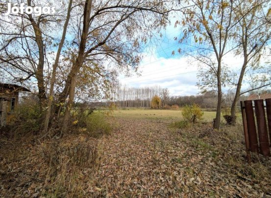 Eladó 3317 nm-es telek Debrecen #5134084