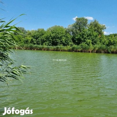 Eladó 34 nm-es Üdülő, nyaraló Gyomaendrőd