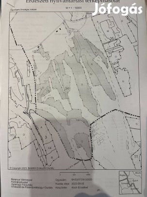 Eladó 3500 m3 vágásra kész faállomány Gyöngykön