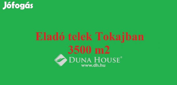 Eladó 3501 nm-es telek Tokaj