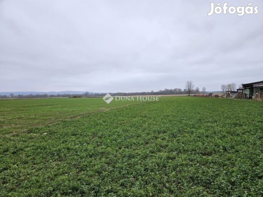Eladó 3616 nm-es telek Csót