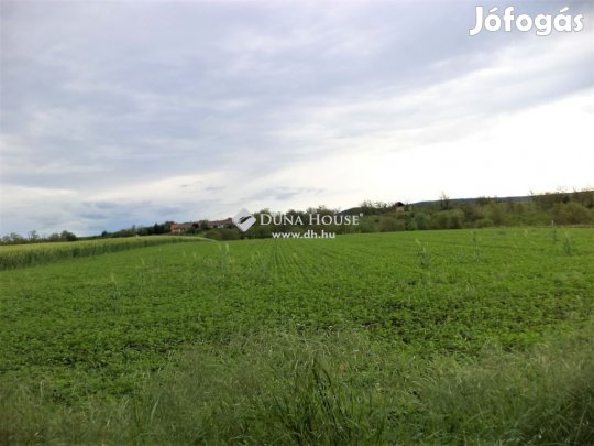 Eladó 3871 nm-es telek Pázmánd