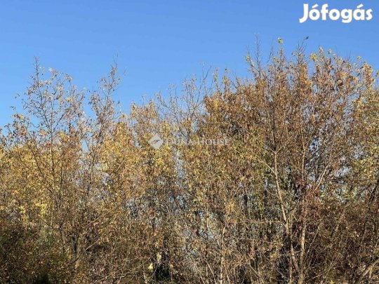 Eladó 387 nm-es telek Szeged