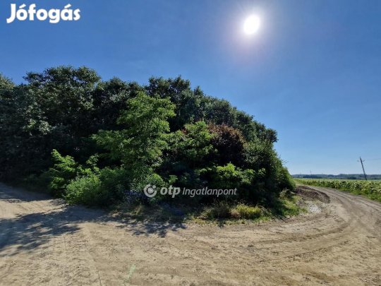 Eladó 39788 nm-es telek Hódmezővásárhely